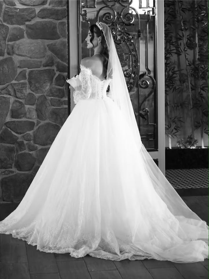 Tulle Long Sleeves Off the Shoulder Lace Princess Wedding Dresses