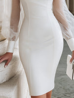 Sheer Sleeve Pointed Collar Tailored Pencil Dress