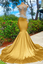 Hidais Shining Sleeveless V Neck Mermaid Long Prom Dress With Appliques
