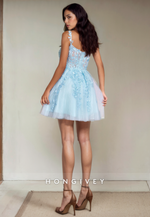 Sweetheart Spaghetti Straps Lace Applique Tulle Short Party Homecoming Dress