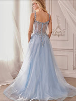 Spaghetti Straps Blue Tulle A-Line Applique Sleeveless Floor-Lenght Prom Dress