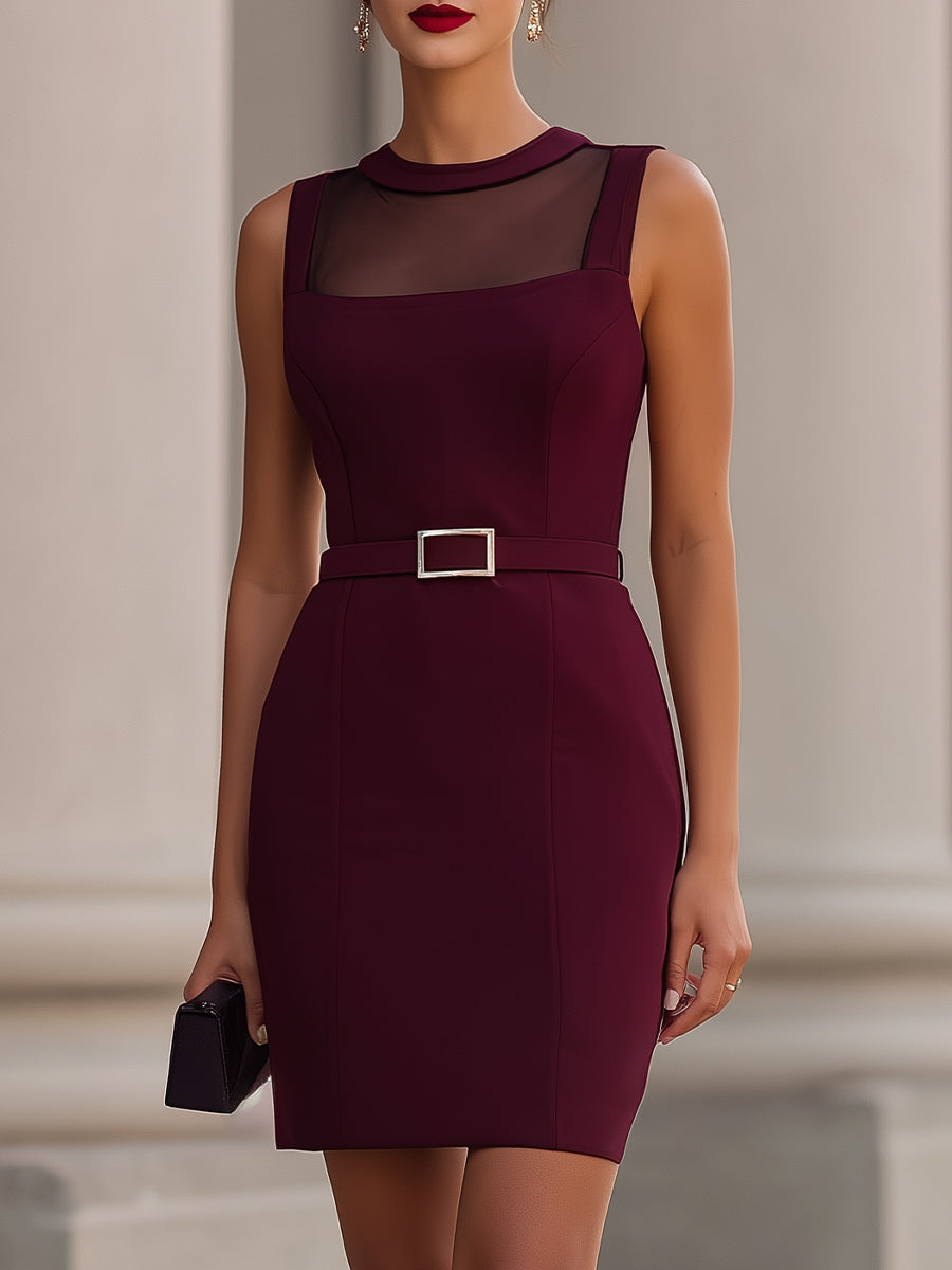 Burgundy Sheer Mesh Panel Sleeveless Belted Mini Bodycon Dress