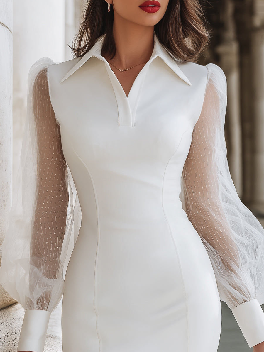 Sheer Sleeve Pointed Collar Tailored Pencil Dress