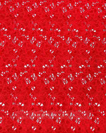 Lace Long Sleeve Evening Dress A-Line