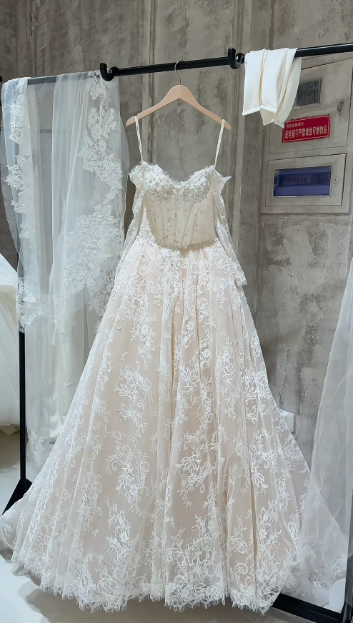 Timeless A-Line Long Wedding Dresses Lace Beaded Bridal Gowns Long Sleeves Bridal Dresses