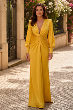 V Neck Simple Long Sleeve Mermaid Floor-Length Mother of the Bride Dress