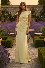 A-Line Crew Neck Sleeveless 3D Flowers Applique Formal Dresses