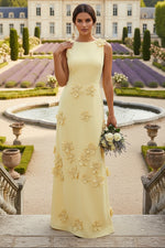 A-Line Crew Neck 3D Flowers Applique Formal Dresses