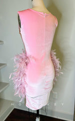 H2096 - Sexy Fitted Glitter Scoop Sleeveless Feathers Beaded Homecoming Dresses For Black Women