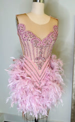 H2096 - Sexy Fitted Glitter Scoop Sleeveless Feathers Beaded Homecoming Dresses For Black Women