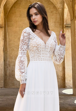 Long Sleeves V-Neck Floral Applique Tulle Wedding Dress 2025 HONGIVEY