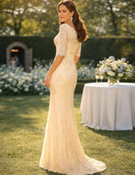 V-Neck 3/4 Sleeve Lace Applique Mermaid Formal Evening Dress