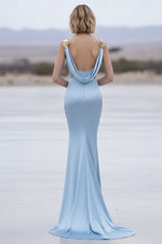 Mermaid Trumpet Sweep Brush Train Formal Dresses Evening Gown Evening Gown