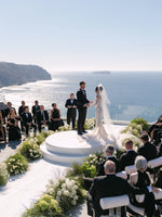 Long Sleeve Lace Mermaid Wedding Gown with Cold Shoulder