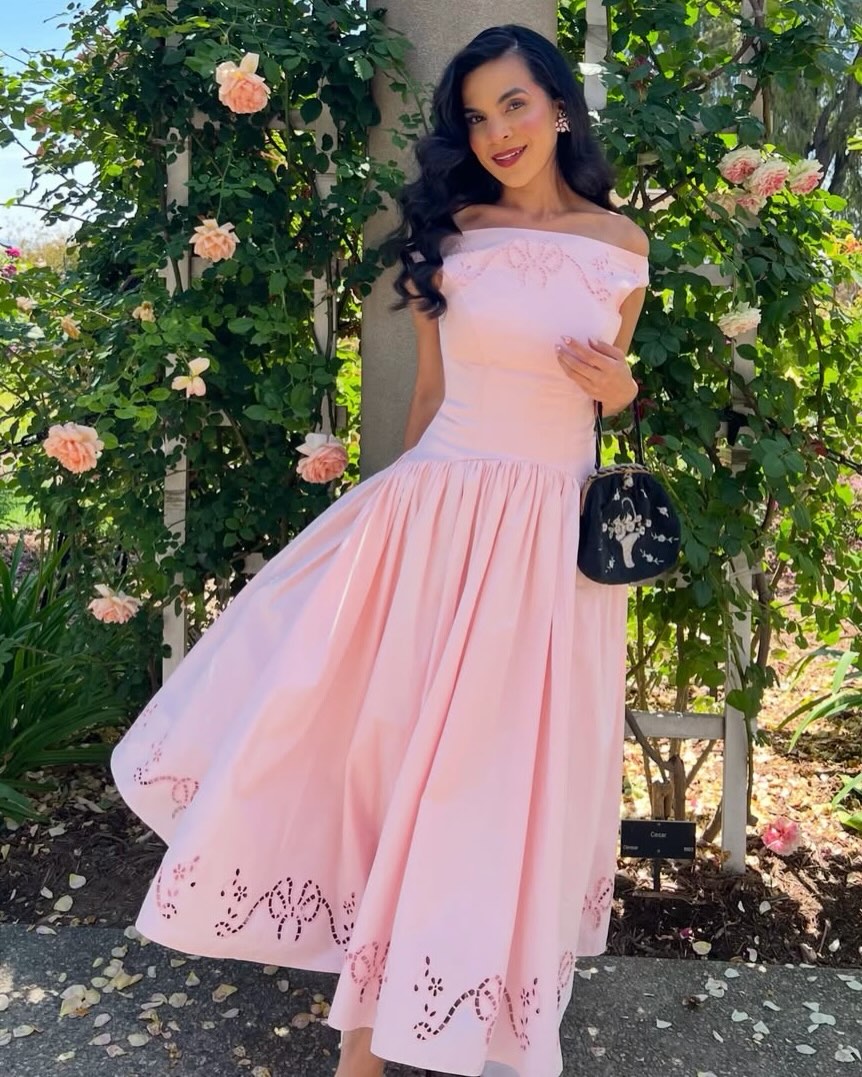 Embroidered A-Line Midi Dress with Pleated Skirt
