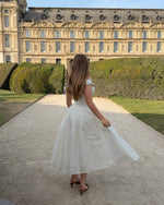 Embroidered A-Line Midi Dress with Pleated Skirt