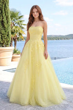 Strapless Lace Bodice Tulle Ball Gown