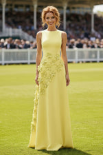 Sleeveless 3D Floral Applique A-Line Evening Gown