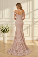 Off-the-Shoulder Lace Mermaid Gown