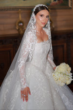 Long Sleeve Lace Ball Gown Wedding Dress with Veil