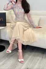 Embroidered Illusion Sleeve Midi Dress