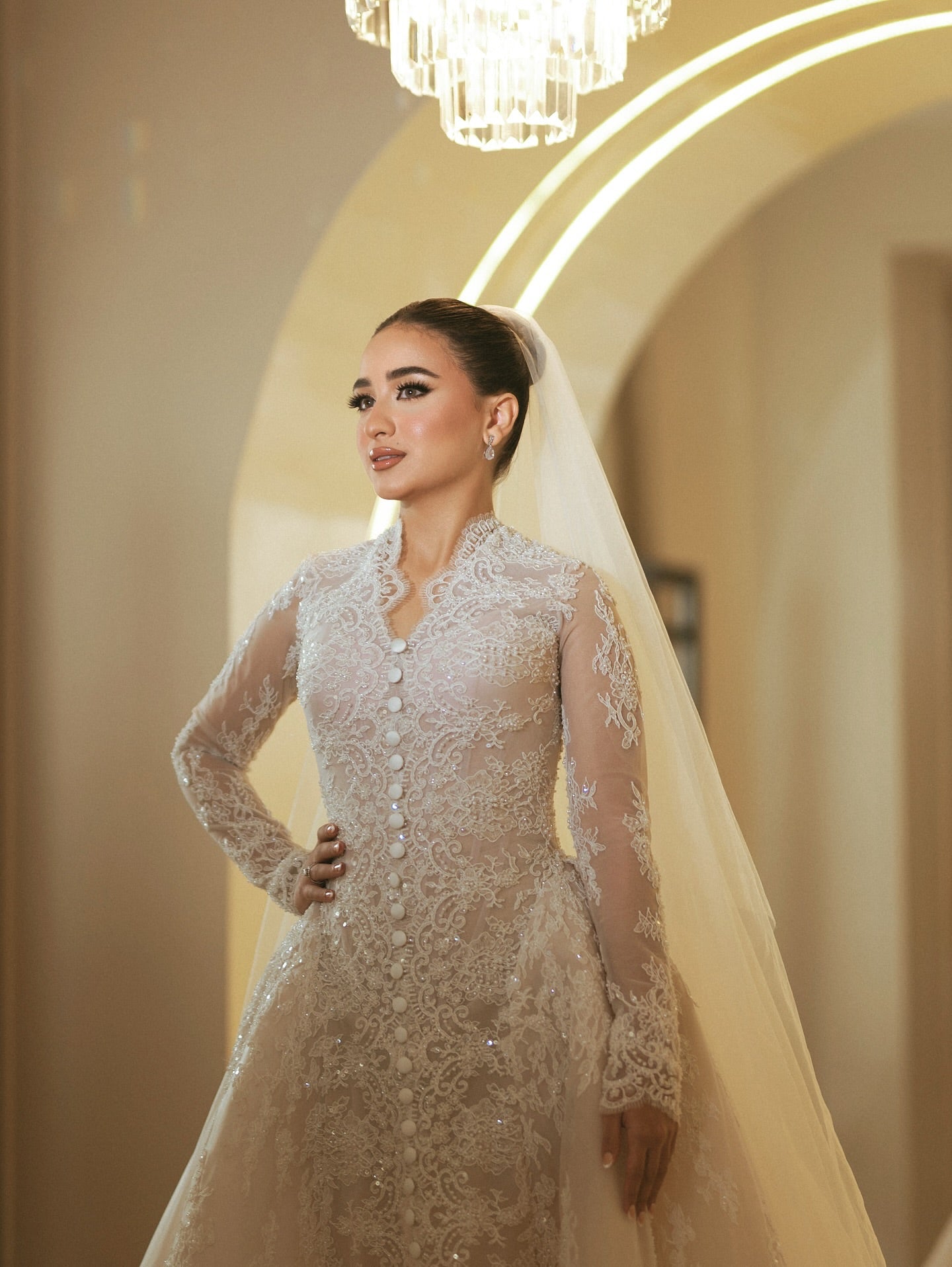 Long Sleeve Lace Ball Gown Wedding Dress