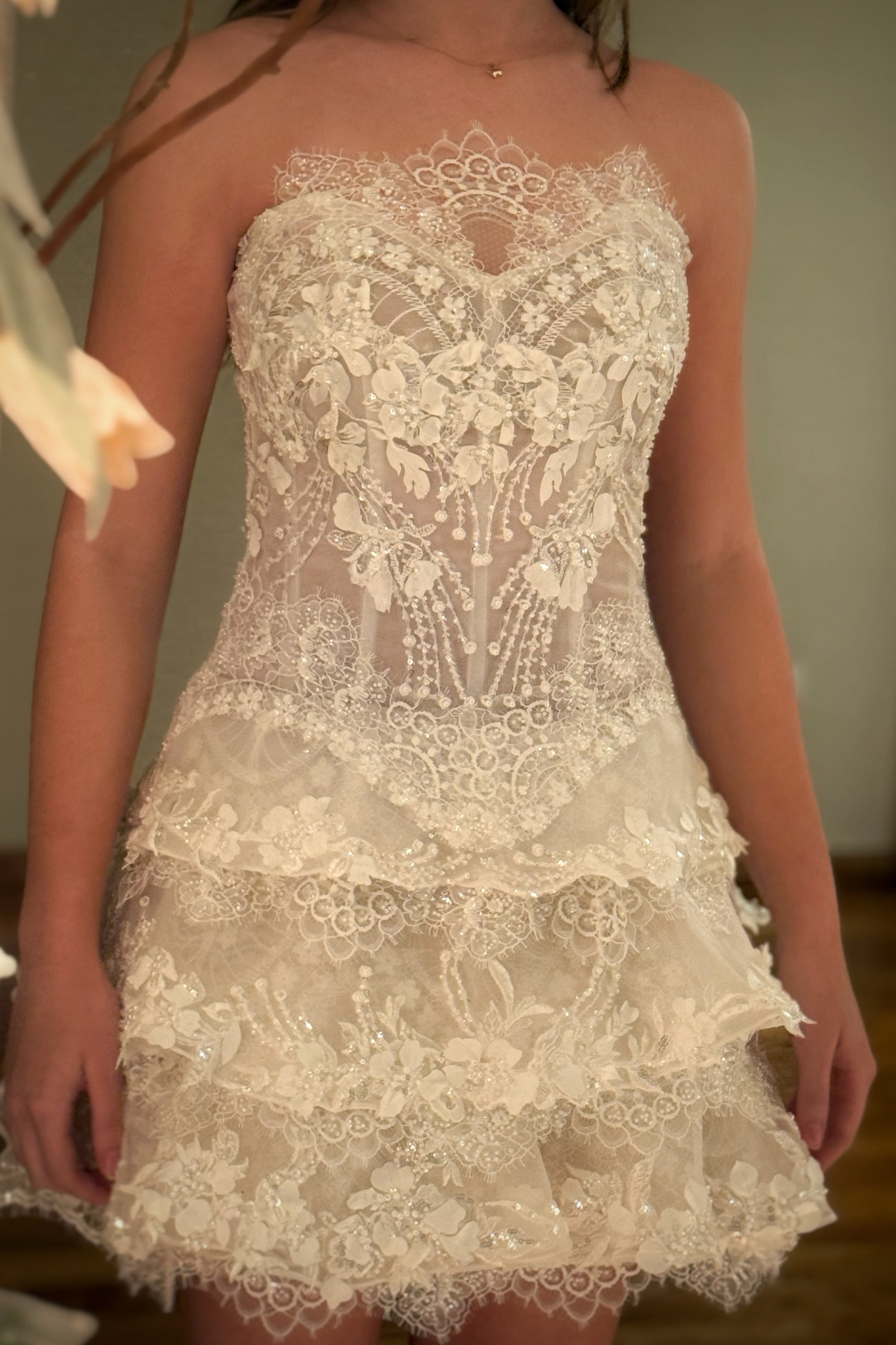 Tiered Lace Corset Mini Dress with Appliques