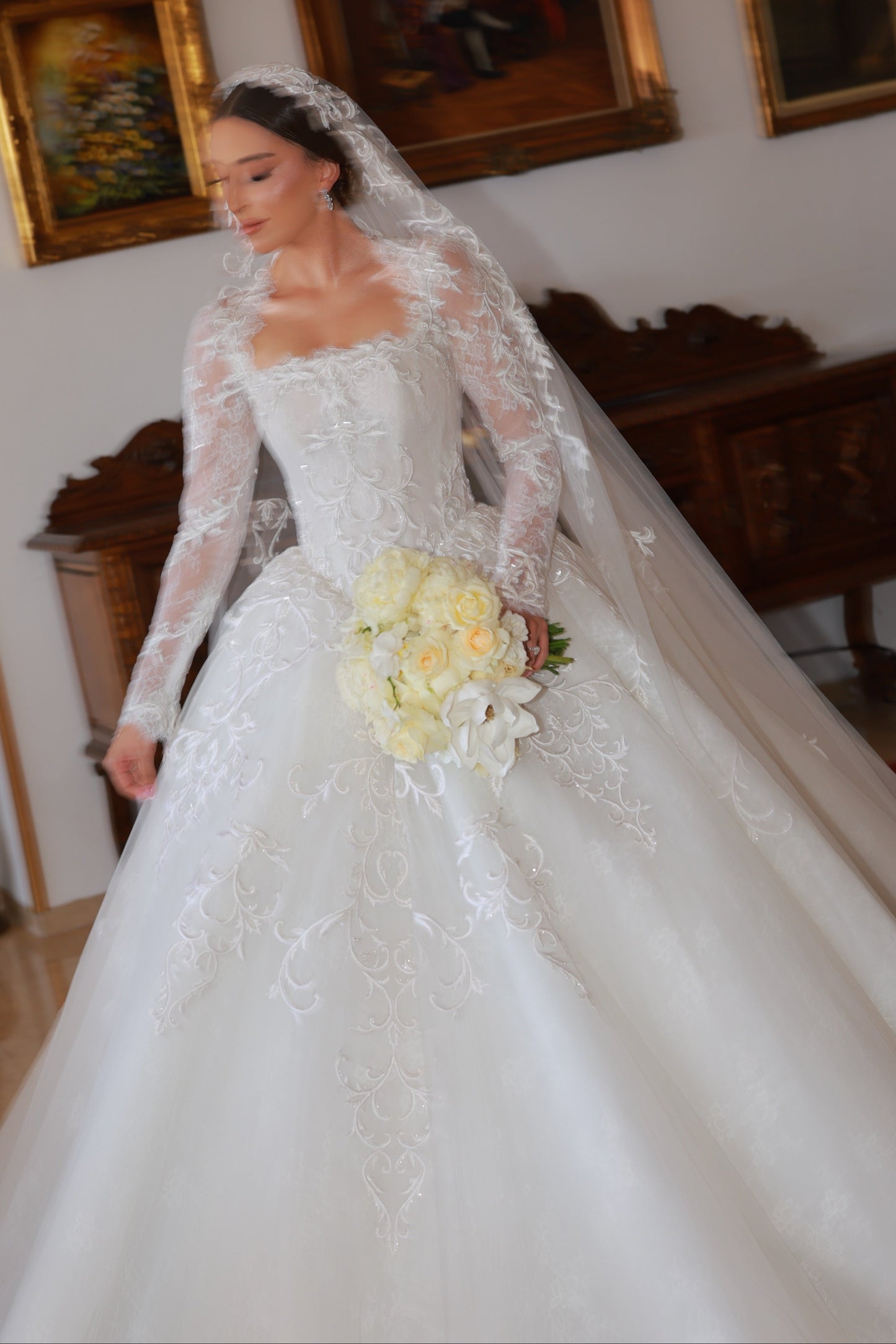 Long Sleeve Lace Ball Gown Wedding Dress with Veil