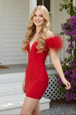 Feather Sleeve Off-The-Shoulder Mini Dress