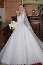 Long Sleeve Lace Ball Gown Wedding Dress with Veil