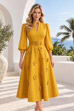 3D Floral A-Line Midi Dress with Sheer Sleeves