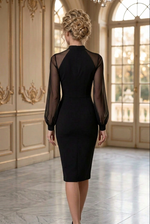 Midi Sheath Dress with Sheer Balloon Sleeves