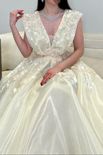 Floral Applique V-Neck A-Line Formal Gown