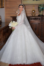 Long Sleeve Lace Ball Gown Wedding Dress with Veil