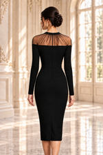 Long Sleeve Illusion Mesh Midi Sheath Dress