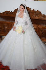Long Sleeve Lace Ball Gown Wedding Dress with Veil