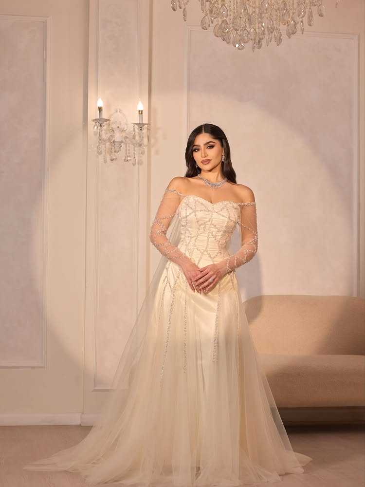 Sequins Off the Shouder Long Sleeve Sparkle A-Line Shael Evening Dress